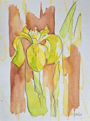 Aquarellbild dreier abstrakter  Irisblüten in Gelbtönen